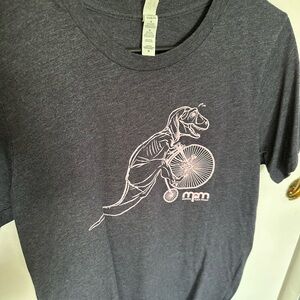 Gray T-Shirt with Dinosaur Design